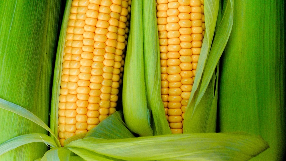 PLA / Corn fiber